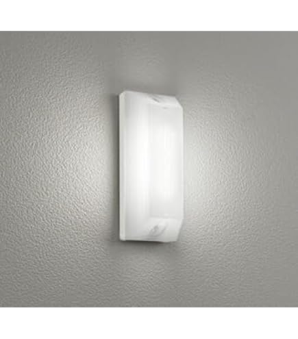 Amazon.co.jp: オーデリック エクステリアライト 【OG 254 582